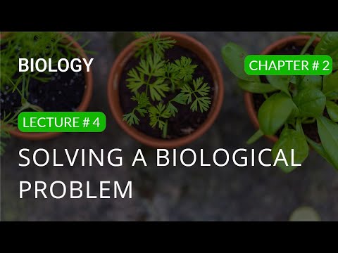 Solving A Biological Problem | 9th Class | Biology |  Lecture 4