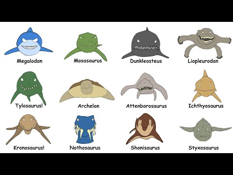 Every Extinct Sea Predator Explained in 9 minutes