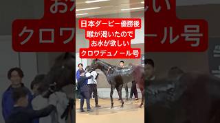 【200万再生！】喉渇いちゃった🐴ダービー優勝直後のクロワデュノール#日本ダービー2025 #クロワデュノール #競馬 #horse #horseracing