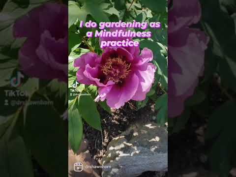 Mindfulness, Self-care, Setotonin, Gardening and Mental Health