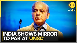 India Slams Pakistan Over Terror, IMF Loans At UNSC Debate | WION