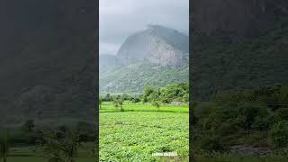 Vellarimedu Kollengode Palakkad Kerala #kerala #travel #kollengode #nature #monsoon  #palakkad