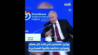 Позиция Путина по отношению арабо -  израильского конфликта. 11/10/23