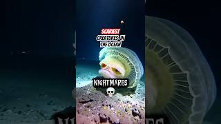 Top 4 Most Dangerous Deep Sea Creatures You’ll Never Want to Meet #shorts  #seacreatures