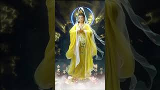 《天籟大悲咒》Heavenly Melody Of Great Compassion Mantra #佛教 #大悲咒 #觀世音菩薩 #南無觀世音菩薩