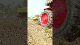 red potato harvesting #shorts #agriculture#modernfarmer #youtbeshorts#noamanreaction #cropmanagement