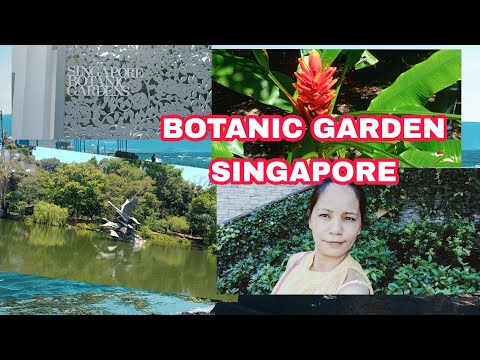 #BOTANIC GARDEN SINGAPORE/JASMINE AMANGAO VLOG/