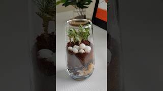 Glass Terrarium 🌿 #shorts #ytshorts #terrarium #plants #plantdecor #diy #indoorplants #youtubeshorts