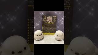 個性心理学（動物占い）ゾウの特徴をご案内　♯個性心理学　♯動物占い　♯ゾウ　♯shorts