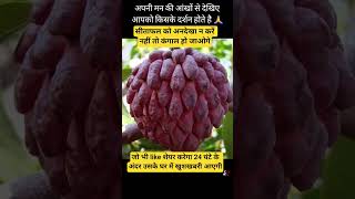 सीताफल को अनदेखा न करें #vishnu #vishnupurana #vishnumantra