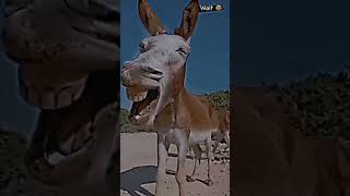 #comedy #funny #enjoytime Share if you like