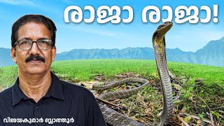 KING COBRA ഒരു കോബ്ര അല്ല #രാജവെമ്പാല ജീവിതം Secrets of the Jungle King Longest Venomous Snake #fact