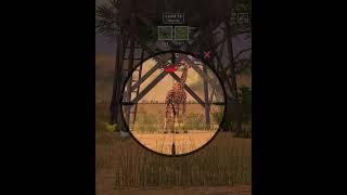 Animal Hunting Level 19 | Giraffe & Lion Hunt 🦒🦁 | Wild Game Adventure Begins!