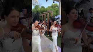 Gelin ve damat🤍 keşfet #wedding #shorts #youtubeshorts #couple #gelin #bride