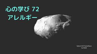 心の学び72 アレルギー