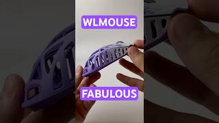 Wlmouse beastx #mouse #device #unboxing #review #gaming #wlmouse #beastx #8k