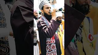 12 Rabi Ul Abal #moharram #tajiya #12rabiulawal  #shorts