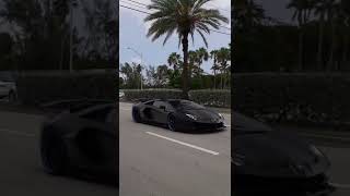 The Black Cobra Lamborghini Aventador SVJ 🔥