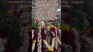 💯முருகன் வாக்கு 🙏 ஓம் முருகா சரணம் 🙏 #lordmurugan​ #muruganvakku​
