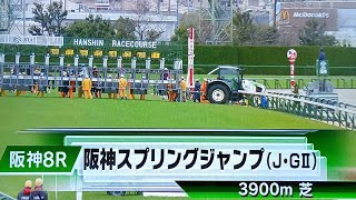 阪神8レース第27回阪神スプリングジャンプ(J・GⅡ) ヴェイルネビュラ