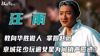 京城痴少！染指过无数女星，教向华胜做人，抛弃张敏，掌掴赵薇，爱上黄晓明初恋隐婚生子，反成赵薇洗白路上的垫脚石，最花心京城四少的桃色往事#汪雨 #京城四少 #权利者游戏