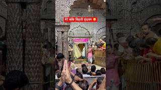 Sree Radhey Radhey 🙏🏻 #shortsfeed #virdavan #love #shortvideos #viral #viralvideos #shorts#short