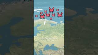 Russia's Red King Crabs that Invaded Norway