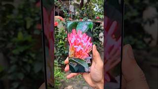 RedMagic 10s Pro Camera Test 🔥