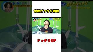 SnowMan宮舘　ピッタリ確保される　#お笑い　#爆笑　#Shorts #芸人 #ドッキリ