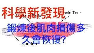 肌细胞自我修复的全新机制