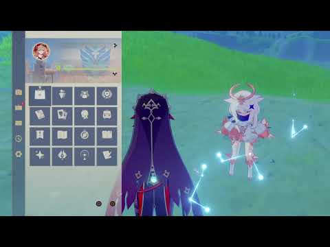 Weird Genshin Impact Glitch