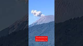 Mahameru yg indah dari puncak cafe hillside #semeru #bromo #cafehillside #bromotenggersemeru