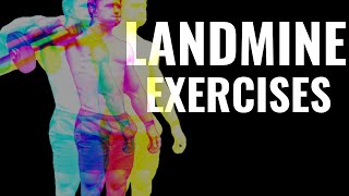 LANDMINE EXERCISES | functional warm up | Marcus Filly