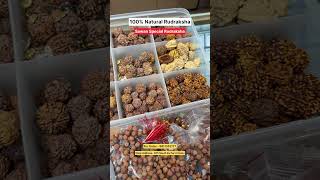 100% Original and Certified Rudraksha | Rudraksha Mala, Bracelet and Pendant #sawan #rudraksha