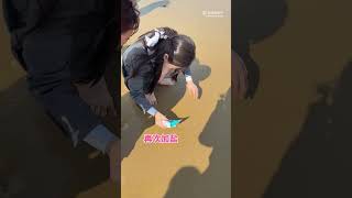 Catch razor clams#estheryu #yushuxin #虞书欣  #nguthuhan #우서흔 #อวี๋ซูซิน #foryou