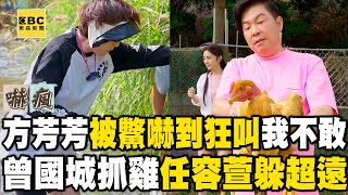 【搶先看】方芳芳被鱉嚇到狂叫：我不敢！曾國城抓雞任容萱躲超遠！【#花甲少年趣旅行】S10 EP146｜台中🚐｜曾國城 方芳芳 是元介 任容萱