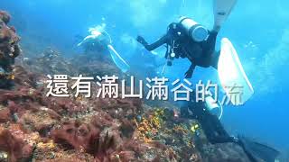 南方四島潛水 兩天一夜 西吉斷層 東吉之狼 廊道 Temmy’s diving-life