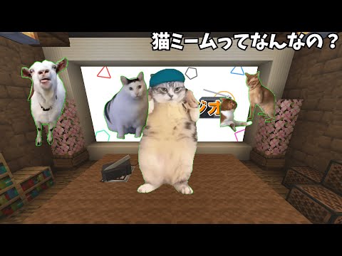 【ラジオ】 マイクラジオ ～猫ミームめっちゃ流行ってない？・・～ 【Minecraft】