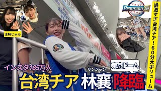 【過激】林襄降臨！台湾チアオールスター大集合in東京ドーム【プレミア12☆籃籃☆秀秀子☆Jessy☆小映☆志柿じゅみ】