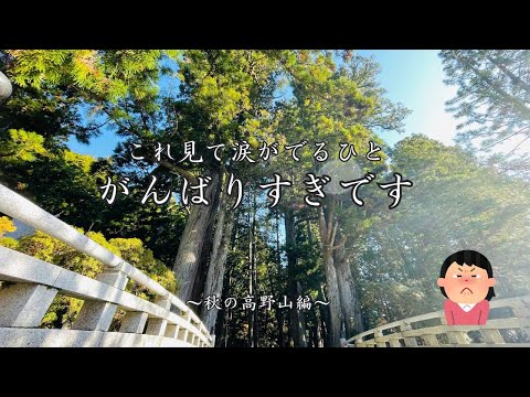 これ見て涙が出る人は「がんばりすぎ」です