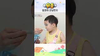 은우의 냥냥펀치 #shorts