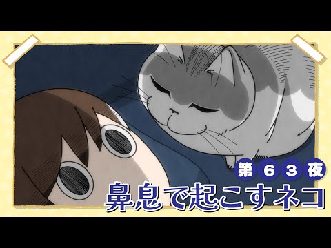 アニメ『夜は猫といっしょ』第63夜「鼻息で起こすネコ」