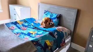 MLILY 7 Inch Twin Mattress for Kids, Memory Foam Bunk Bed Mattress with Mattress Protector Review