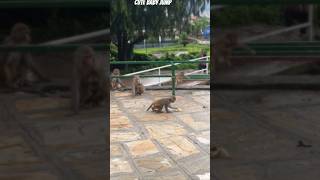 pretty little baby: 🐒 how to  jump#babymonkey #youtubeshorts #viralvideo #ytsshorts