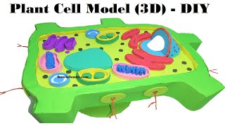 plant cell model (3d)  making using cardboard and waste materials at home | howtofunda