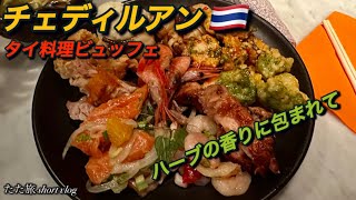 【チェディルアン】ハーブの香りに包まれて|大阪、淀屋橋、タイ料理、ビュッフェ、おでかけ、vlog