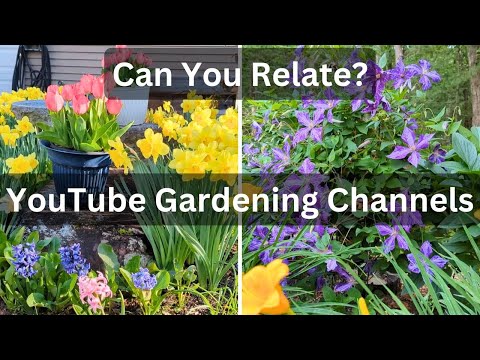 YouTube Garden Channels : How Can You Relate? || Budget Gardening