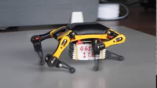 Tiny Titan | Petoi Bittle Hauls TWICE its Weight (Strongest Palm-Sized Robot Dog?) | PetoiCamp