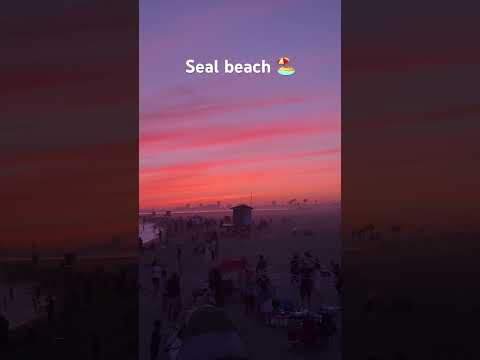 #trendingshorts #beach #travel #electronicmusic #dj #housemusic #edm #nature