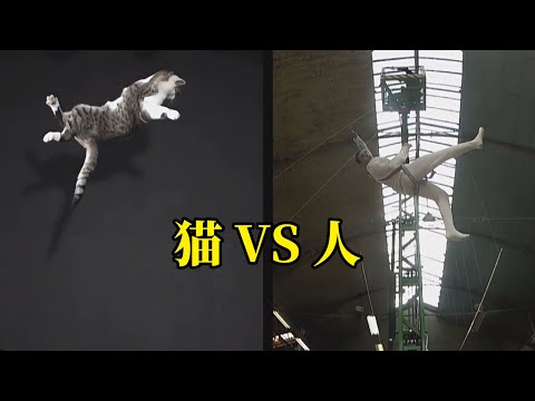 人能否像猫一样，空中下坠总是四脚着地？让运动员测试一下